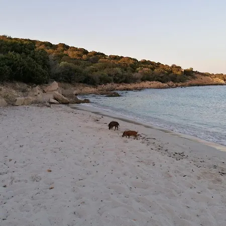 Residenza Moneta Semesterbostad La Maddalena (Sassari)