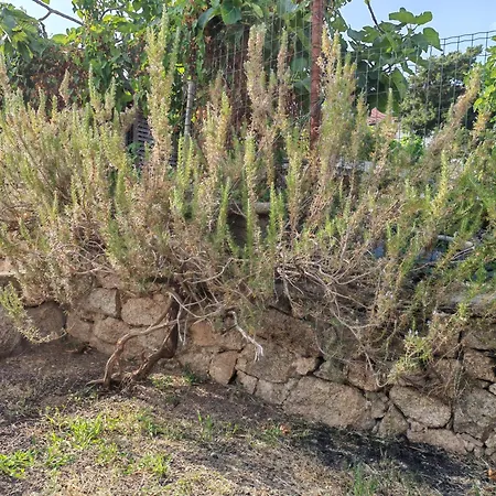 בית נופש Residenza Moneta *